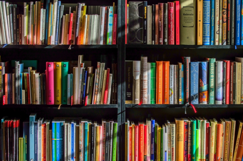 vitrine-LORGUES-min_books_bookstore_book_reading_shop_writer_sale_books_read-822866